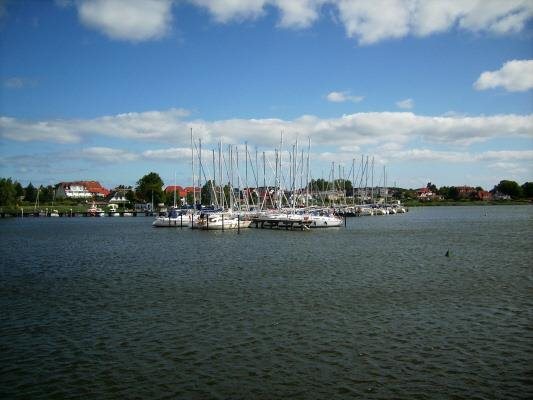Haven Breege